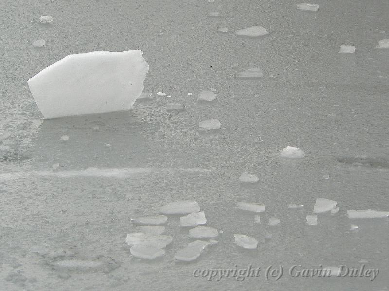 Ice patterns, Winter, Hampstead Heath P1070450.JPG